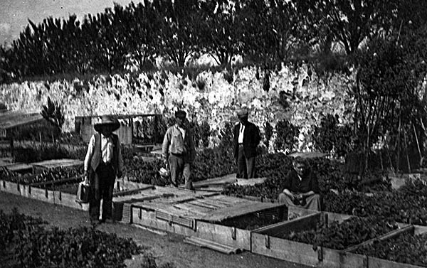 Les jardiniers de l'entreprise Régnier. ID409 03 L600 MV Françoise Del Rio