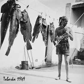 Pêche aux mérous en 1949, en Méditerranée, à Tabarka. ID416 02 P180 MV Isy Schwart